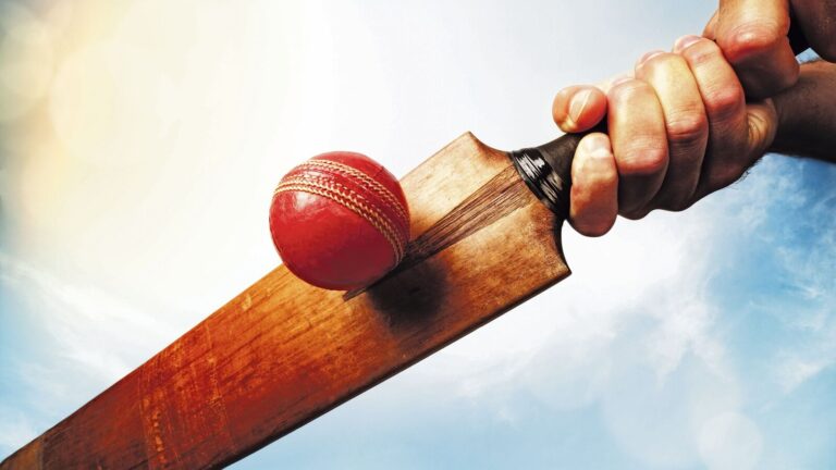 A northern Italian town bans cricket | Mint