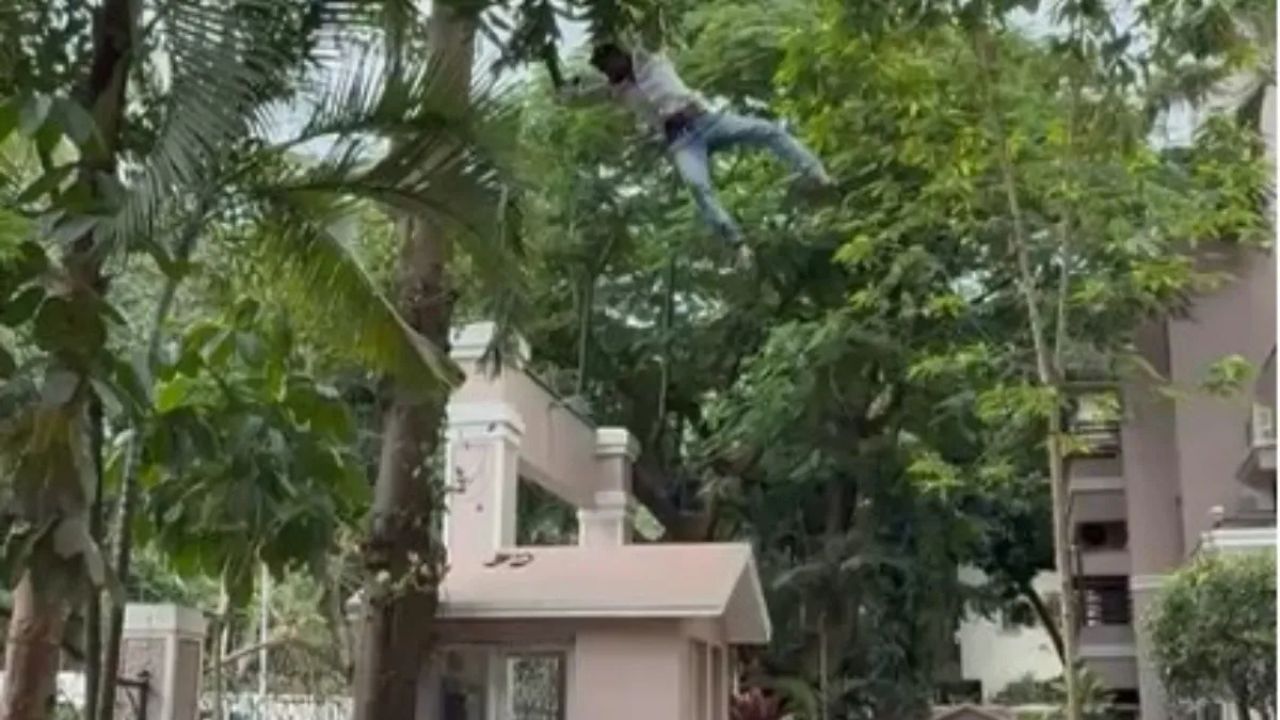 Bangalore News:  कटहल की चोरी ने कराई पेड़ की चोटी की सैर! नशे में धुत युवक के 50 फीट ऊंचाई से गिरते ही मचा हड़कंप.