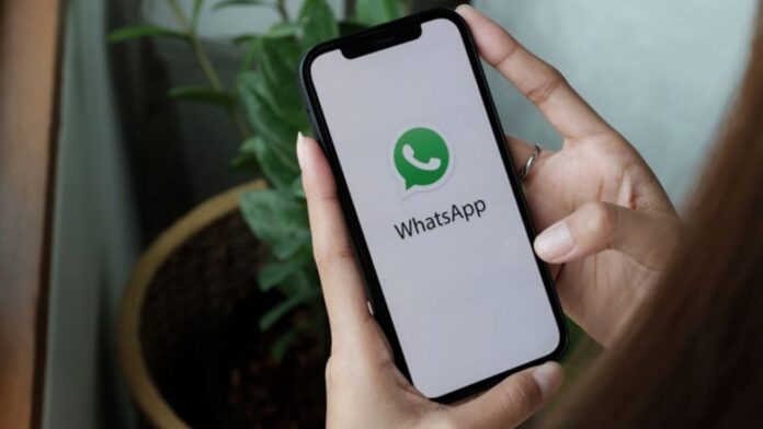 Whatsapp के नए फीचर से अब नहीं होगी स्टोरेज की टेंशन! स्टोरेज बचाने का आसान तरीका