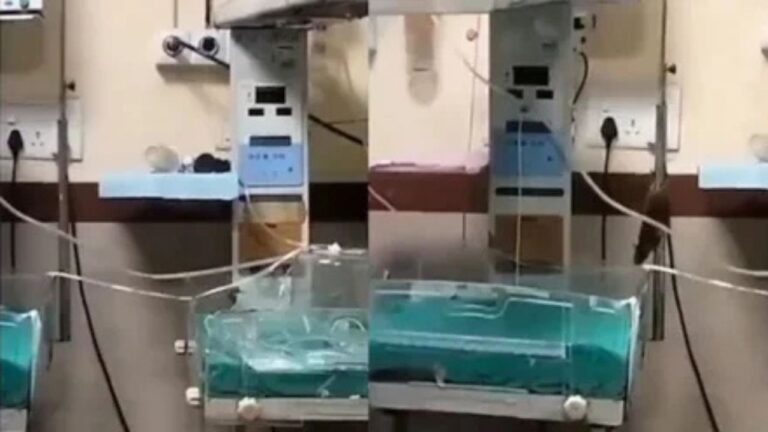 Indore MY Hospital: इंदौर अस्पताल में चूहों का कहर! नवजातों की मौत, प्रशासन