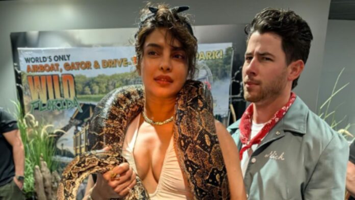 Priyanka Chopra की नई तस्वीरों ने मचाई सनसनी! गले में अजगर डालकर दिखाई जबरदस्त हिम्मत, फैंस हैरान!