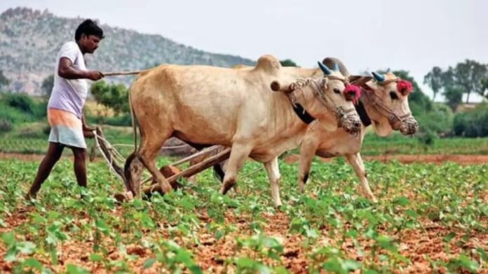 PM Fasal Bima Yojana Update: किसानों को बड़ी सौगात, अब जंगली जानवरों और पानी भराव से फसल नुकसान का मिलेगा पूरा मुआवजा पढ़ें बड़ी घोषणा