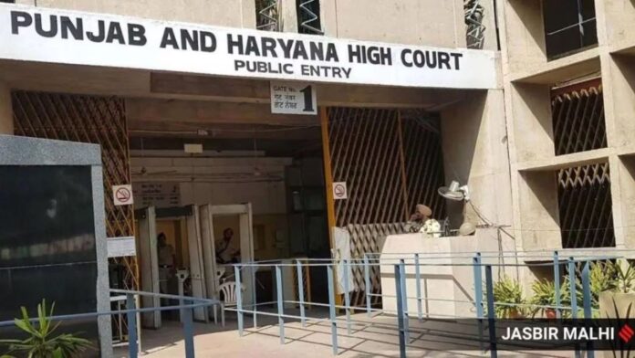 पंजाब और हरियाणा हाईकोर्ट में 1265 क्लर्क पदों पर बड़ी भर्ती, युवाओं के लिए सुनहरा मौका