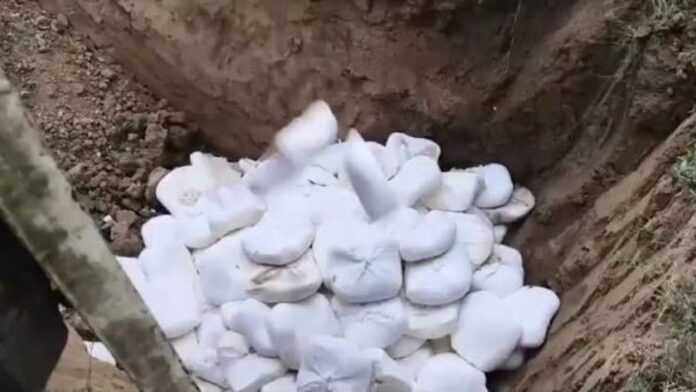 भिंड में नूडल्स फैक्ट्री पर छापा, ‘मोटी सेवई’ के पैकेट में मिले नूडल्स